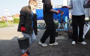 Ogród deszczowy przy P23 pomaga oszczędzać wodę i cieszy zielenią (6)