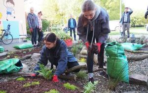 Ogród deszczowy przy P23 pomaga oszczędzać wodę i cieszy zielenią (13)
