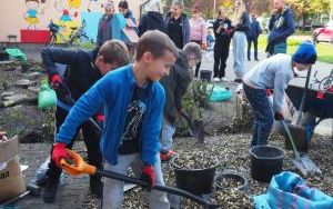 Ogród deszczowy przy P23 pomaga oszczędzać wodę i cieszy zielenią (14)