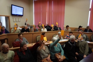Wybory do Rady Seniorów