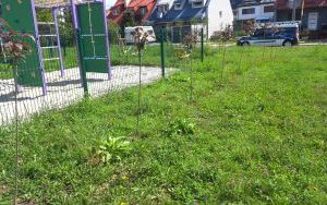 V Raciborski Festiwal Gamingowy (2)