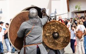 V Raciborski Festiwal Gamingowy (3)