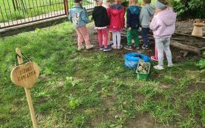 Ekoludki zakładają dziki zakątek w swoim ogrodzie (4)