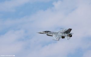 XVII RC AirShow w Raciborzu (5)