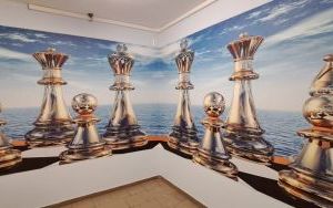 Amatorski kącik szachowy oraz wzbogacenie terenów zielonych wokół ZSP nr 1 w Raciborzu o nowe nasadzenia (8)