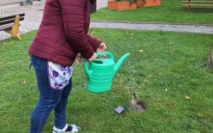 Amatorski kącik szachowy oraz wzbogacenie terenów zielonych wokół ZSP nr 1 w Raciborzu o nowe nasadzenia (12)
