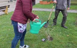 Amatorski kącik szachowy oraz wzbogacenie terenów zielonych wokół ZSP nr 1 w Raciborzu o nowe nasadzenia (13)