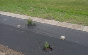 Wiata ekologiczna - eko zakątek (2)