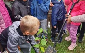 Stawiamy na rozwój najmłodszych (4)