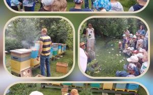 Wymiana piaskownicy na placu zabaw przy ZSP3, utworzenie rabaty (14)