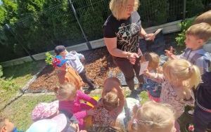 Wymiana piaskownicy na placu zabaw przy ZSP3, utworzenie rabaty (16)