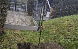 Bezpieczny plac zabaw P15 (1)