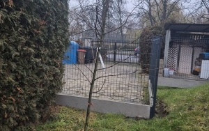 Bezpieczny plac zabaw P15 (3)