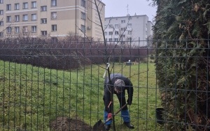 Bezpieczny plac zabaw P15 (4)