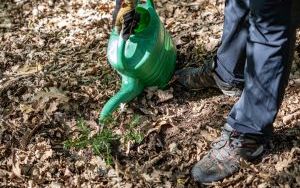 1350 nowych sadzonek w ABM dzięki firmie Posadzimy.pl (7)