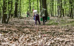 1350 nowych sadzonek w ABM dzięki firmie Posadzimy.pl (1)