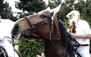 Wielkanocna procesja konna Racibórz-Sudół (4)