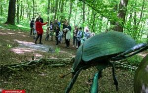 Klub Ojca w Arboretum Bramy Morawskiej (11)