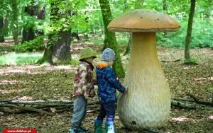 Klub Ojca w Arboretum Bramy Morawskiej (9)