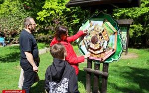 Klub Ojca w Arboretum Bramy Morawskiej (6)