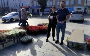  Elektrośmieci i kwiaty  (6)