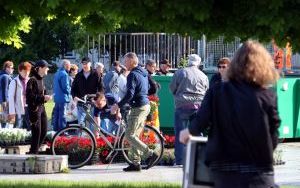  Elektrośmieci i kwiaty  (1)
