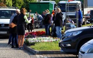 Elektrośmieci i kwiaty  (2)