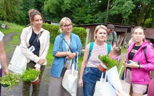  „Cyrkularny ogród. Jak wprowadzić praktyki zero waste w ogrodzie?” (1)