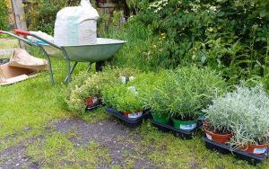  „Cyrkularny ogród. Jak wprowadzić praktyki zero waste w ogrodzie?” (6)