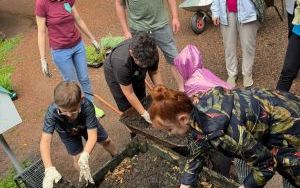  „Cyrkularny ogród. Jak wprowadzić praktyki zero waste w ogrodzie?” (17)