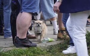 Finał Dni Raciborza na bulwarach (15)