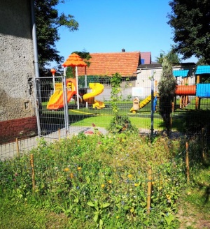 „Kwiatki Agatki” – podsumowanie akcji