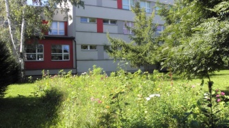 „Kwiatki Agatki” – podsumowanie akcji