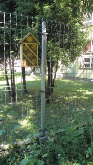 „Kwiatki Agatki” – podsumowanie akcji