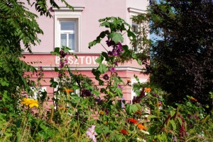 Łąki miejskie w Raciborzu