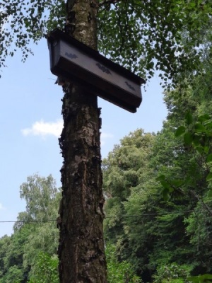 Domek dla nietoperzy
