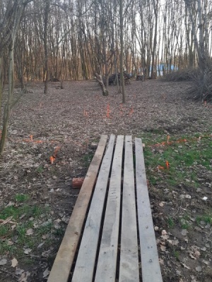 Wyznaczenie miejsca pod ognisko