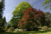 Arboretum in Nový Dvůr outside