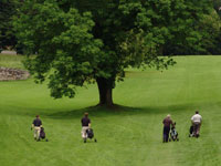 Golfový areál Šilheřovice 2