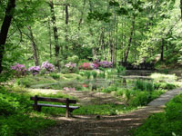 Arboretum Moravské brány