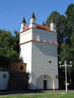 Część muru obronnego