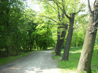 Zámecký park