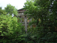 The Eickstedts family nest from behind