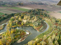 Odra river bends