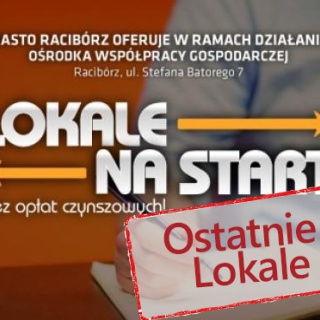 Ostatnie lokale na start do wynajęcia