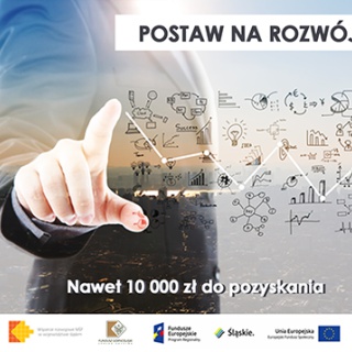 Wsparcie rozwojowe MŚP w województwie śląskim