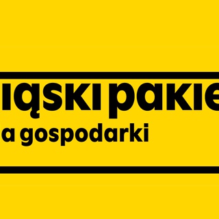 Projekt „Promocja gospodarcza regionu oraz działania związane z tworzeniem przyjaznych warunków do inwestowania i eksportowania”