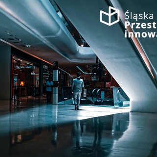 Okulary przyszłości - Śląsk 2030