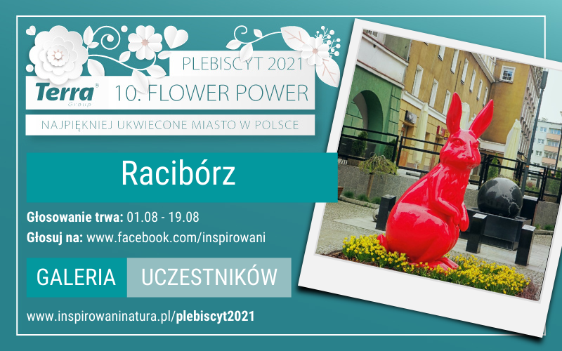 zgloszenie raciborz zgloszenie raciborz