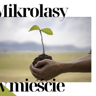 Mikrolasy w mieście